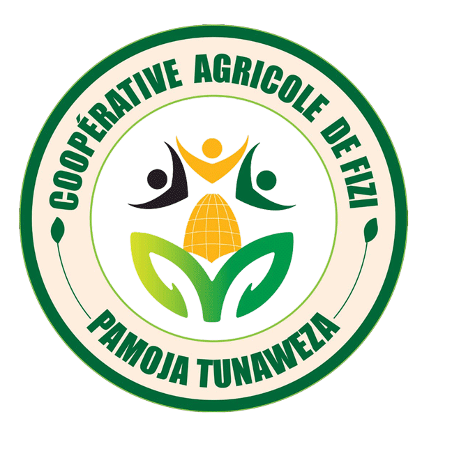 CAF-RDC Logo